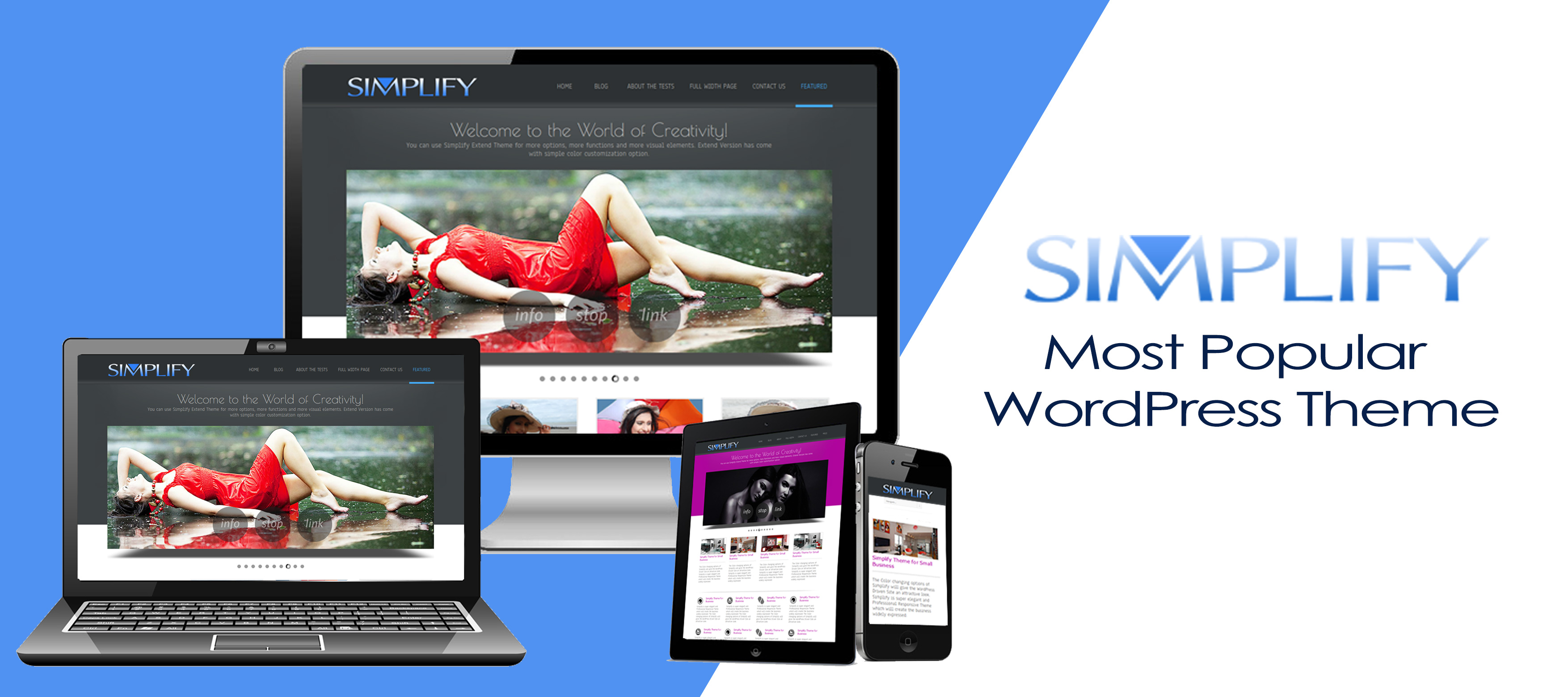 the Most Popular Theme SIMPLIFY