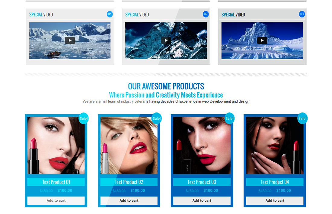 WordPress E-Commerce Theme