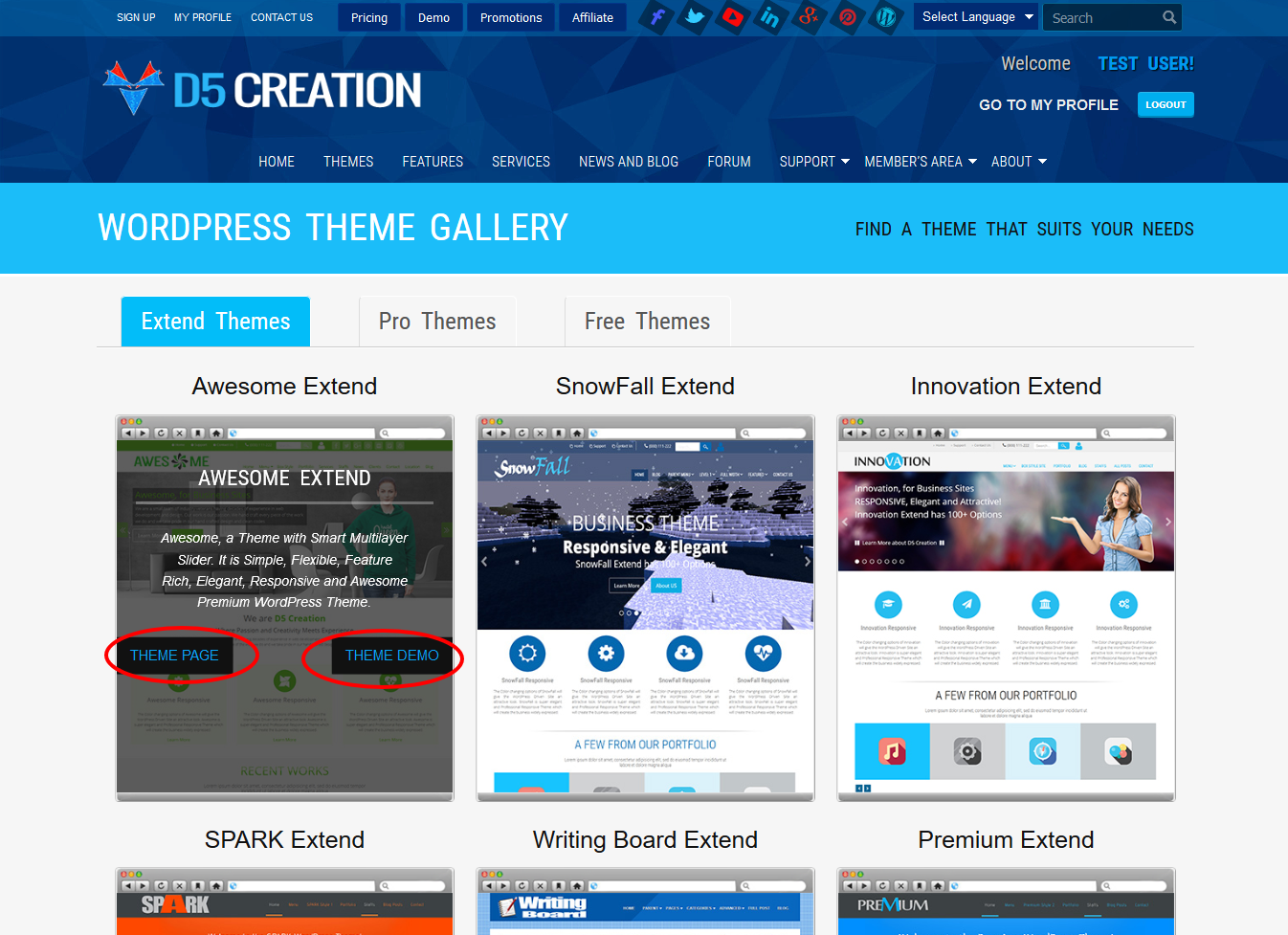 WordPress Themes