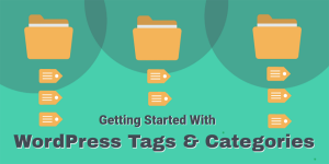 7-Best-Practices-of-using-WordPress-Tags-and-Categories-for-SEO