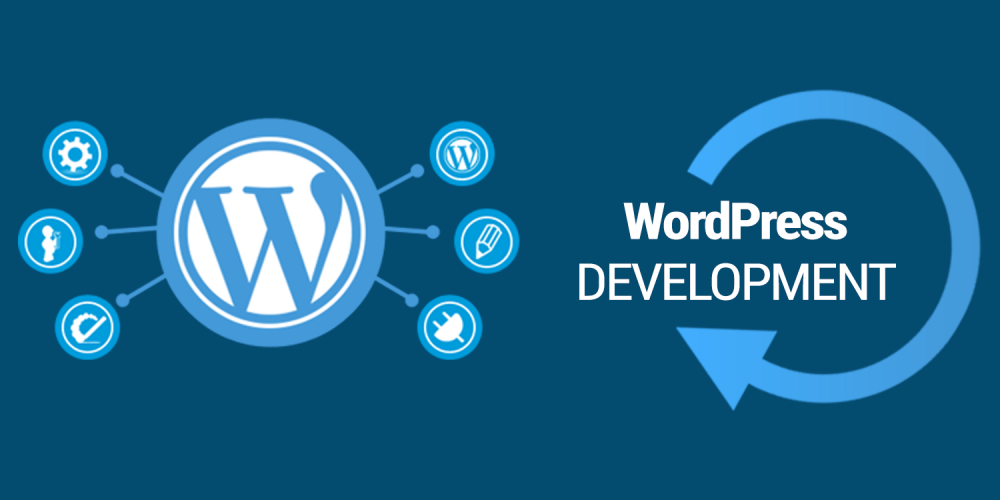 WordPress Developers