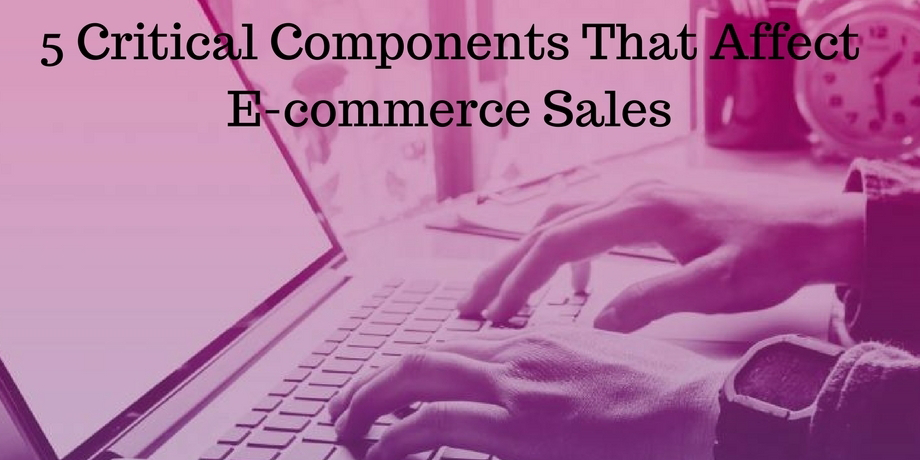 Components That Affect E-commerce Sales
