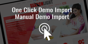 One Click Demo Import, Manual Demo Import