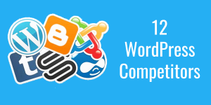 12 WordPress Competitors