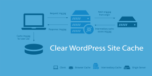 Clear-WordPress-Site-Cache