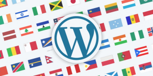 WordPress Multi Language