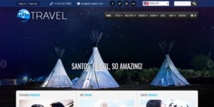 travel website design